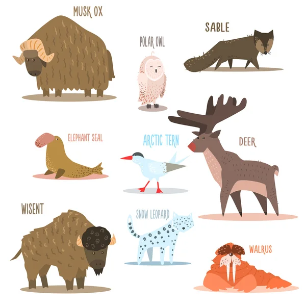 Animales árticos y antárticos , — Vector de stock