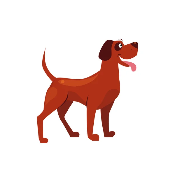 Standing Brown Dog — Stock Vector