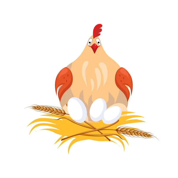 Kura w gniazdo siedzi na jajach. — Wektor stockowy