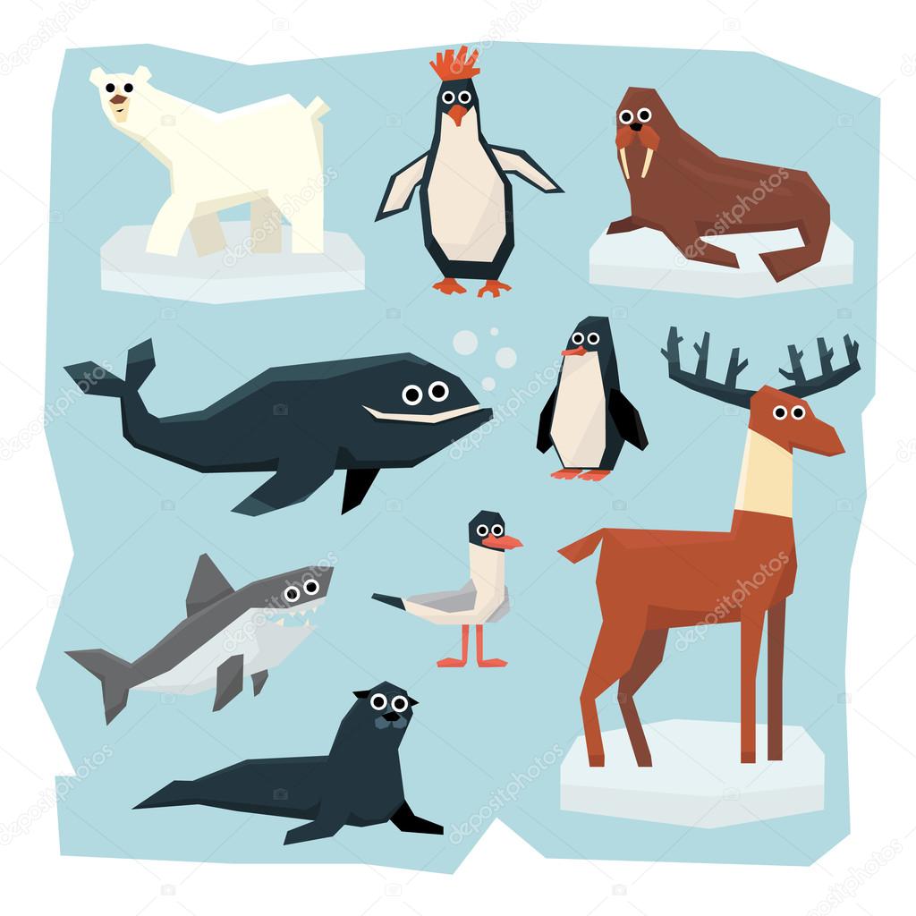 Arctic and Antarctic Animals, Fish Set — Stock Vector © TopVectors ...