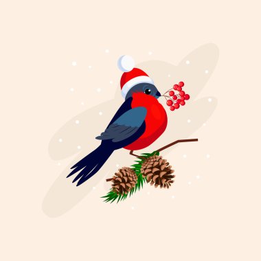 Bullfinch wearing a Hat on Branch with Cones. Vector Illustration clipart