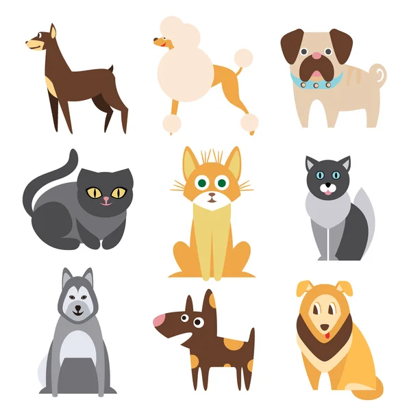 Colección de gatos y perros de diferentes razas. Ilustración de vectores planos — Vector de stock
