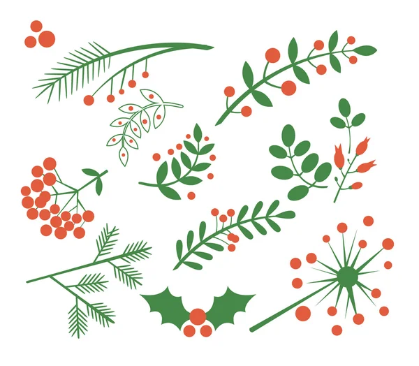 Bacche rosse, abete e foglie. Set illustrazione vettoriale — Vettoriale Stock