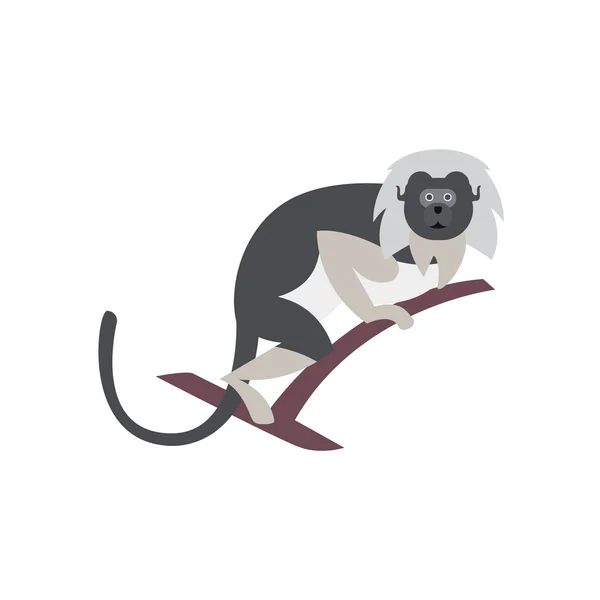 Schattig aap pictogram, logo — Stockvector