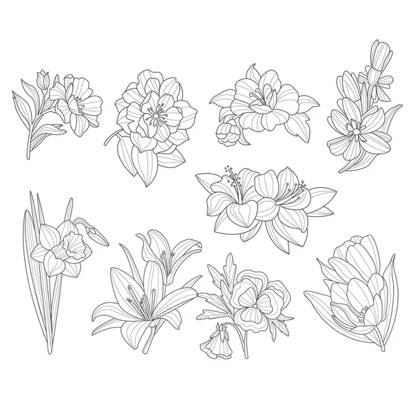 Collection de fleurs. Illustration vectorielle dessinée à la main — Image vectorielle