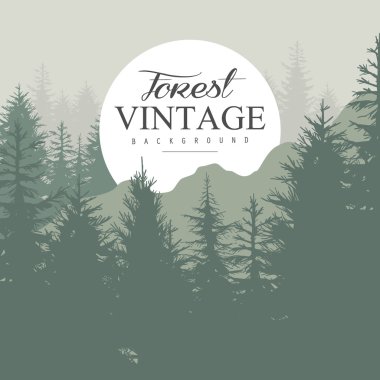 Vintage Pine Forest.