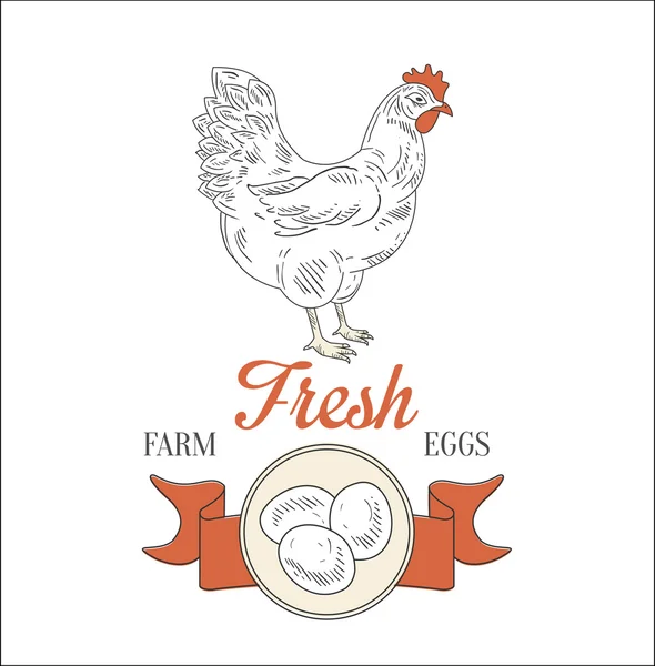 Ферма свіжі яйця . — стоковий вектор