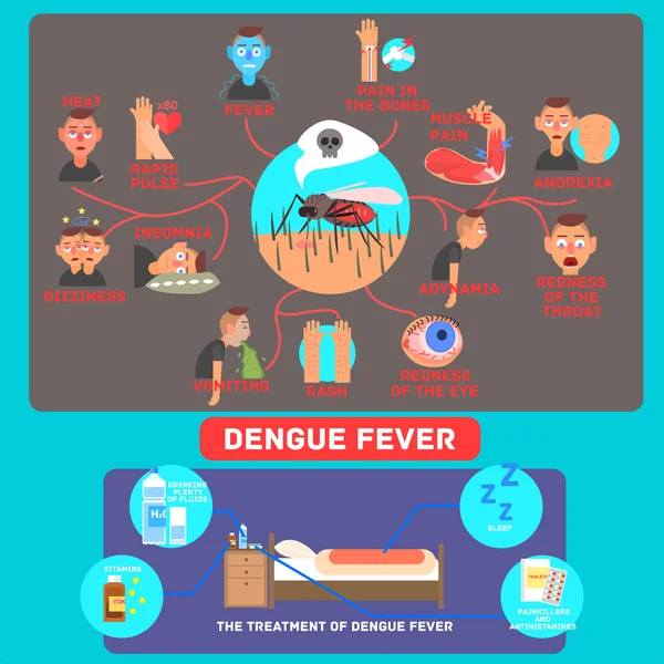 Infografías del dengue . — Archivo Imágenes Vectoriales