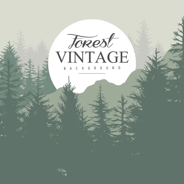 Vintage Pine Forest. — Stockvector