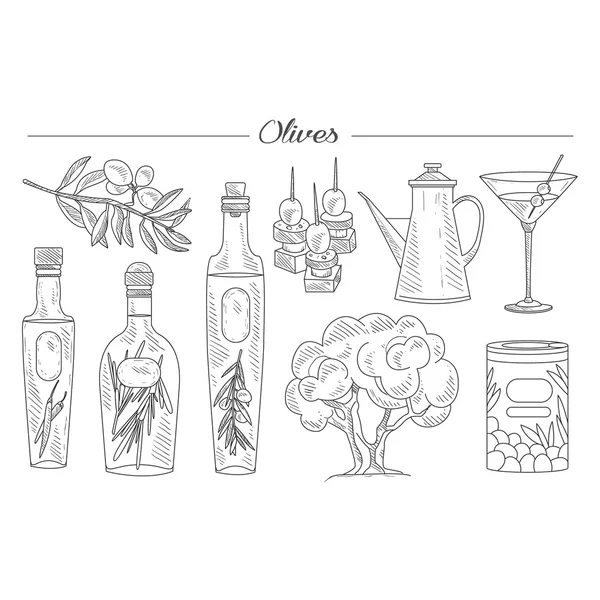 Olivenöl und Zweig — Stockvektor