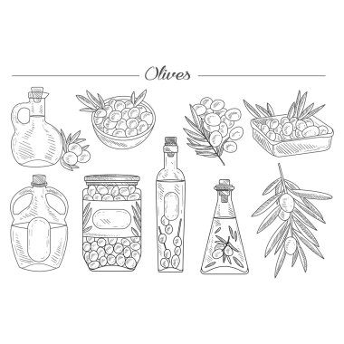 Handdrawn vektör Set zeytin yağı