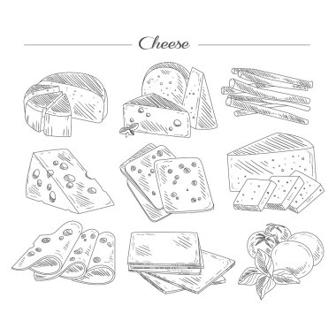 Types of Cheese. Handdrawn Set clipart
