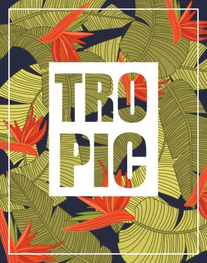 Yazı ile tropikal arka plan