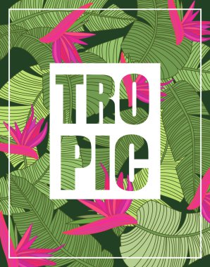 Yazı ile tropikal arka plan