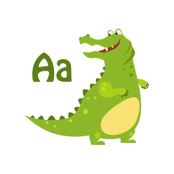 Alligator. Rolig alfabetet — Stock vektor