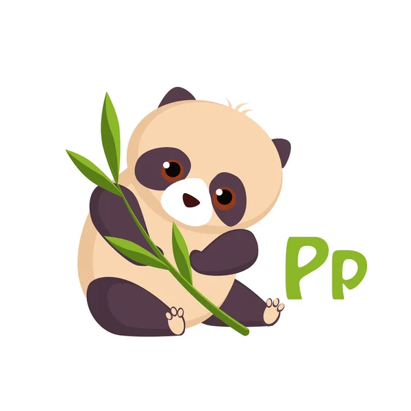 Panda. Alfabeto divertido — Vector de stock