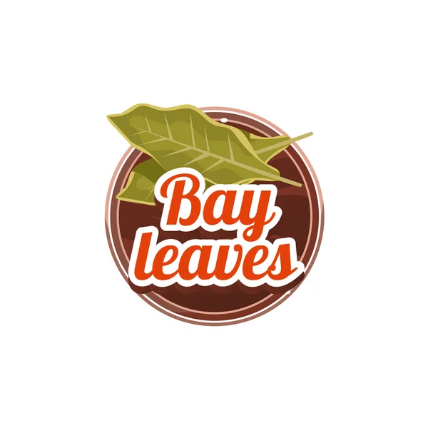 Bay Leaves Spice. — Vector de stoc