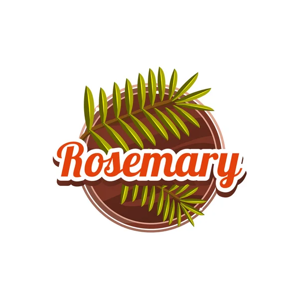 Rosemary Spice. Ilustración vectorial . — Vector de stock