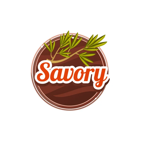 Savory Spice. Vector Illustration. — Stock Vector