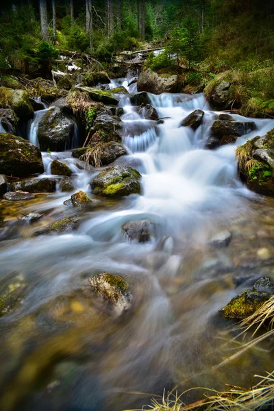 Riacho de montanha entre pedras e floresta — Fotografia de Stock