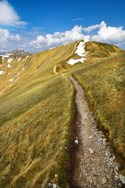 Paysage du sentier de montagne Tatra — Photo