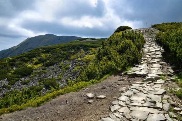 Paysage du sentier de montagne Babia — Photo