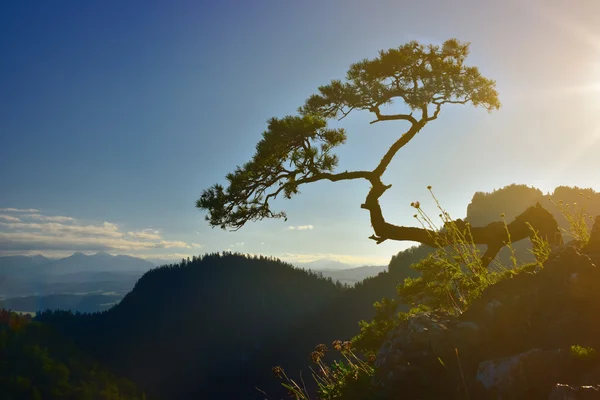 Sunset view of Sokolica peak in Pieniny mountain — Stock Photo, Image