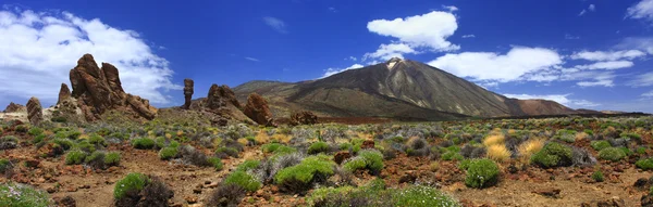 Teide Tenerife Adası yanardağ panoramik görüntü
