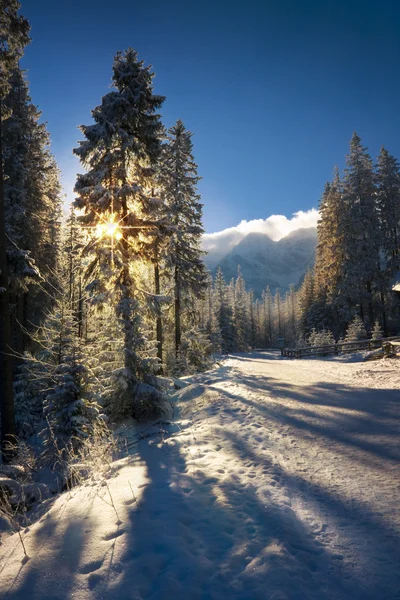 View of the sunrise in the Tatra mountains — Stock Photo, Image