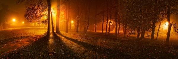 Vista panorâmica de árvores em uma noite nebulosa no parque — Fotografia de Stock