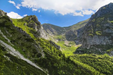 Polonya Tatra dağ dağ yamaçlarında