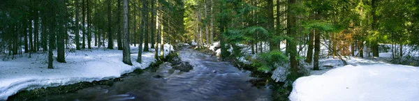 Panoramic view of the mountain river in the middle of the forest — Stock Photo, Image