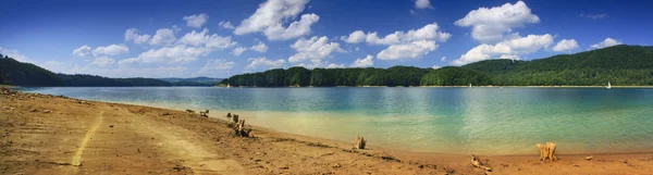 Panoramabild des Solina Sees — Stockfoto