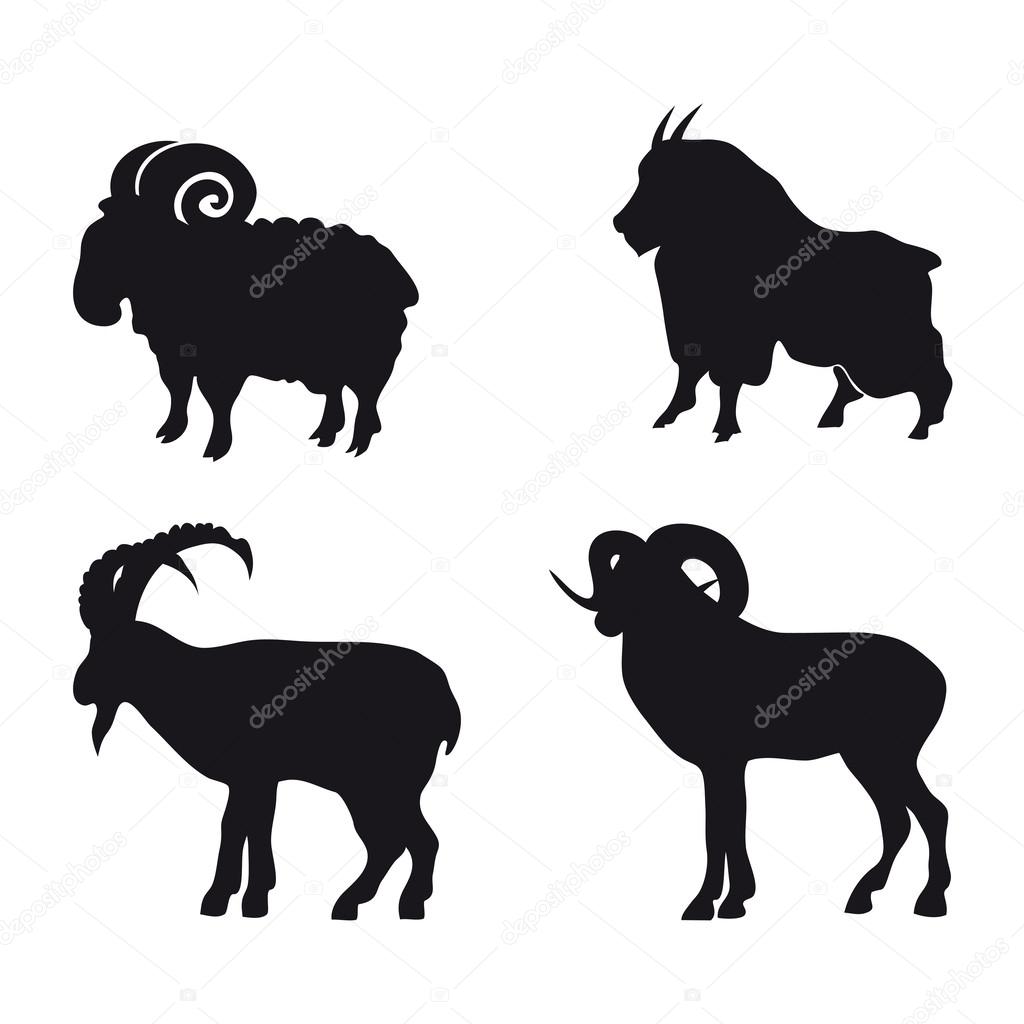 illustration of sheep and goat