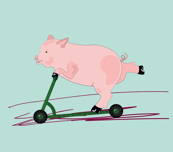 Illustration of a pig — Stock Vector