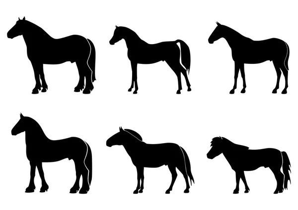 Ilustracja z końmi — Wektor stockowy