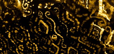 Suluboya doku. Siyah kravat boyası Grunge. Suluboya deseni. Banner 'ı fırçaladım. Soyut Poster. Boyalı Kravat Yazısı. Altın sarısı, kirli sanat resimleri. Pis Art Grunge. Aquarelle Yazdırma.