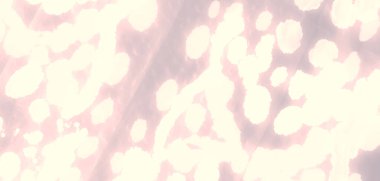 Suluboya deseni. Gri kravat boyası Batik. Flama sıçradı. Boyalı Kravat deseni. Koyu Kahverengi El Yapımı Kirli Sanat. Kirli Sanat Ressamlığı. Suluboya Baskı. Islak Sanat Yazıcısı. Soyut Sıçrama.