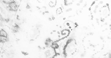 Suluboya deseni. Otantik Fırça Sanatı. Aquarelle dokusu. Klasik Tie Dye Batik. Gri Kirli Sanat Arkaplanı. El yapımı Dirty Art. Islak Sanat Yazıcısı. Banner 'ı fırçaladım. Gömleği boyadım. Beyaz