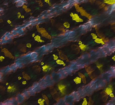 Suluboya doku. Dişlerimi fırçaladım. Gökkuşağı Neon Kirli Sanat Boyama. El yapımı Dirty Art. Suluboya deseni. Aquarelle Yazdır. Asitli kravat boyası yaması. Şeffaf duvar kağıdı. Kravat boyası Grunge. Siyah