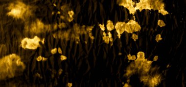 Kahverengi Sanatsal Kirli Sanat. Pis Art Grunge. Aquarelle Yazdır. Banner 'ı fırçaladım. Kumaş deseni. Sarı suluboya dokusu. Siyah Eşsiz Tekstil. Yazdır bakalım. Otantik Fırça Sanatı.