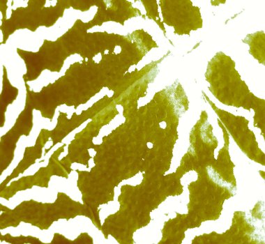 Yeşil Sanatsal Kirli Sanat. Kirli Sanat Ressamlığı. Islak Sanat Yazıcısı. Banner 'a su sıçrat. Bağla, Grunge. Beyaz suluboya deseni. Kremalı kravat boyalı gömlek. Suluboya Baskı. Fırçalanmış Sancak.