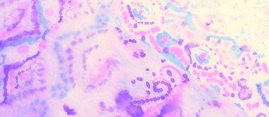 Otantik Fırça Sanatı. Kravat boyası Grunge. Pembe Krem Kirli Sanat Arkaplanı. Kirli Sanat Ressamlığı. Islak Sanat Yazıcısı. Suluboya Baskı. Soyut Sıçrama. Aquarelle dokusu. Mor kravat boyalı gömlek..