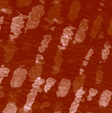 Aquarelle dokusu. Banner 'ı fırçaladım. Otantik Fırça Sanatı. Kravat boyası. Kahverengi Krem Sanatsal Kirli Sanat. Pis Art Grunge. Islak Sanat Yazıcısı. Suluboya deseni. Shocolate Tie Dye Shirt.