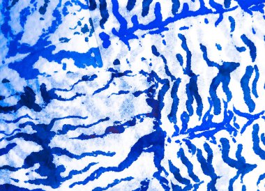 Hayvan baskısı. Leopar kravat boyası baskısı. Hayvan grafitisi. Boya yamalı kravat. İndigo Zebra Kirli Sanat Arkaplanı. Kirli Sanat Ressamlığı. Suluboya Baskı. Aquarelle dokusu. Banner 'ı fırçaladım. Mavi 