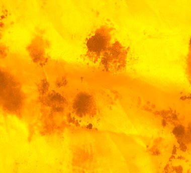 Turuncu Hayvani Duvar Kağıdı. Kirli Sanat Ressamlığı. Aquarelle dokusu. Suluboya Baskı. Sarı kravat boyası. Kusursuz desen. Yılan Sarı Hayvan Gömlekli Afrikalı Kravat Boyası. Koyu