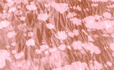 Islak Sanat Yazıcısı. Kahve, kravat boyası, gömlek. Parlak El Yapımı Kirli Sanat. Sanatsal Dirty Art.Aquarelle dokusu. Flama sıçradı. Boyalı Kravat deseni. Beyaz suluboya deseni. Fırçalanmış Graffiti. 