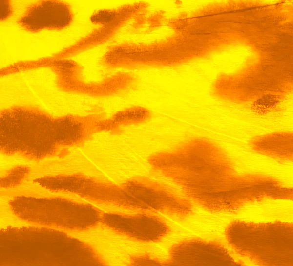 ダーク ダーティ アート 芸術的な動物プリント 水彩プリント 肌のアフリカのネクタイダイを印刷します 黄色のシームレスなパターン ヒョウイエローアクエラレテクスチャ オレンジ動物タイダイパッチワーク — ストック写真