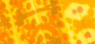 Islak Sanat Yazıcısı. Dişlerimi fırçaladım. Turuncu El Yapımı Kirli Sanat. Kirli Sanat Arkaplanı. Suluboya deseni. Aquarelle dokusu. Sarı kravat desenli boya. Soyut Sıçrama. Boyalı Gömlek. Ocher.