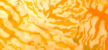 Soyut Sıçrama. Kravat boyası Grunge. Sarı suluboya deseni. Banner 'ı fırçaladım. Ocher El Yapımı Kirli Sanat. Kirli Sanat Arkaplanı. Suluboya Baskı. Islak Sanat Yazıcısı. Yeşil Kravat Boya Deseni.